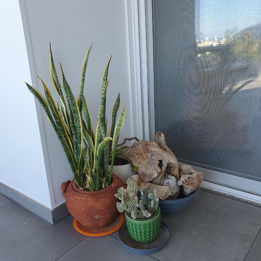 Latchi Ithaki, 2 Bedroom Penthouse Kültér fotó